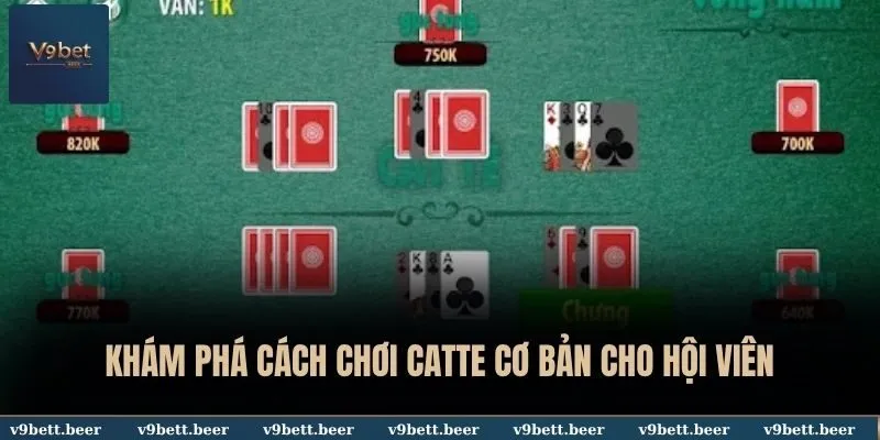 Khám phá cách chơi Catte cơ bản cho hội viên